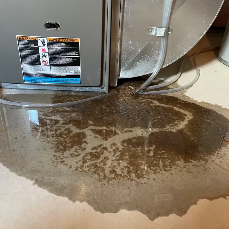 Appliance Leak Cleanup in South Eliot, ME